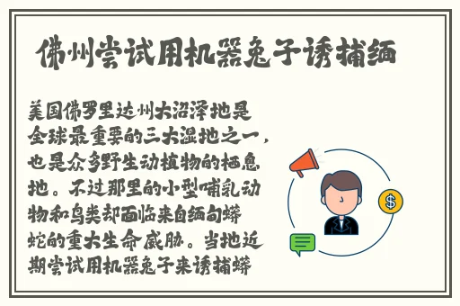 宏翔小蓝视频gy2022的评价